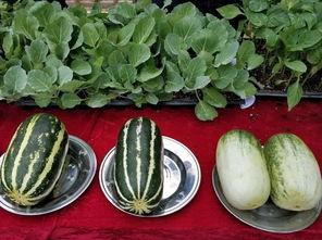 娱乐吃瓜图片高清壁纸,捕捉娱乐圈热点瞬间壁纸